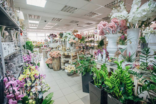 نمونه سایت فروش گل و گیاه