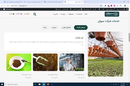 نمونه کار سیوان